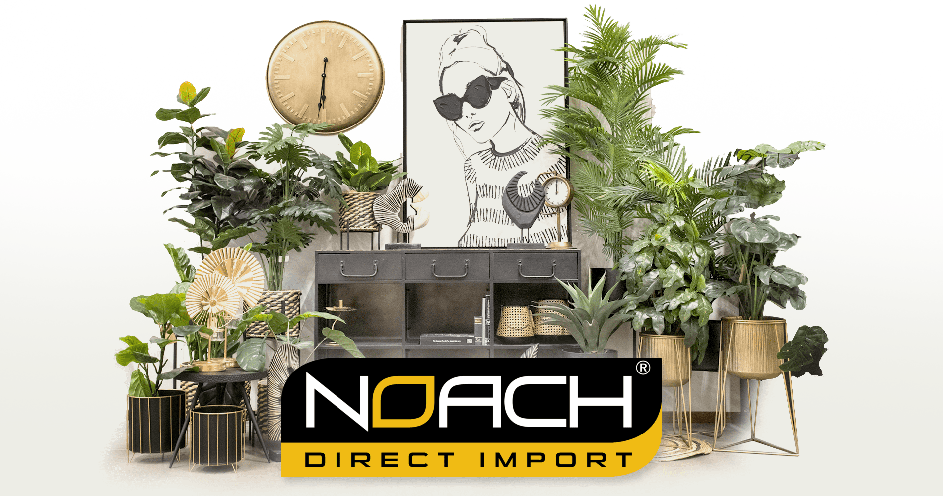 Noach Direct Import